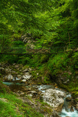 Fototapeta na wymiar Tolmin Gorge Deep River Canyon in Slovenia Soca Valley. Wild Nature Landscape in Europe