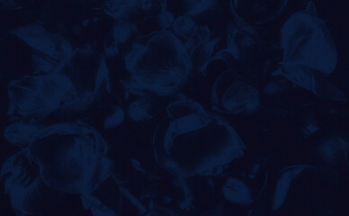 Tło z motywem kwiatowym w kolorze kobaltowym. Grafika cyfrowa przeznaczona do druku na tkaninie, ozdobnym papierze, tapecie, tle fotograficznym.