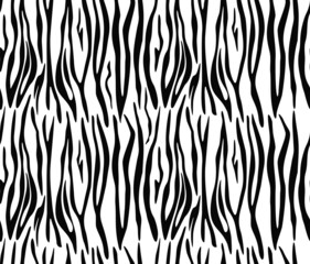 Zebra pattern vector print, trendy texture for printing clothes, fabric, paper.