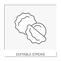  Lychee line icon. Sweet tropical dish with white scented flesh, a large central stone, and thin rough skin. Fruit concept. Isolated vector illustration. Editable stroke