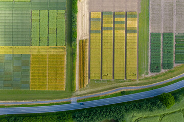 Abstract aerial view of rural landscape with agricultural fields by experimental station.
