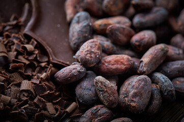 Composition of pieces of different milk and dark chocolate, grated cocoa beans on a background top view close up