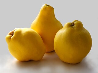 yellow,sour and hard quinces close up