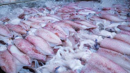 Seafood, squid, on a pickup truck, a stall sold at a fresh market There is ice to maintain the...
