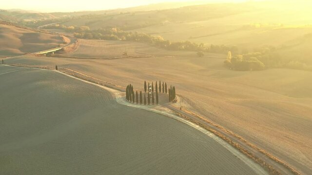 Aerial view of the beautiful hills of the Val d'Orcia in Tuscany with the cypress circle shape grove near Montalcino, Italy, hills cultivated with wheat, Ionic column by Helidon Xhixha, Reflexes