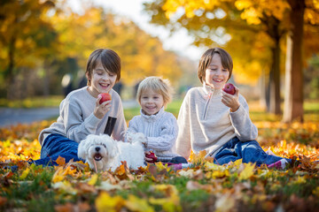 Happy children, playing with pet dog in autumn park on a sunny day