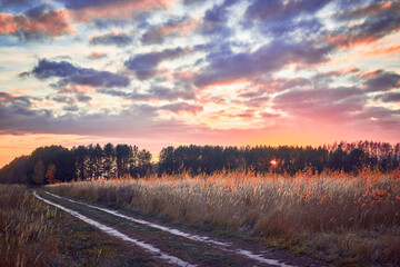 Bright beautiful autumn sunset. Rural landscape.