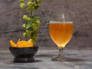 Glass of beer with hop branch and potato chips on gray background.
