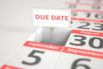 DUE DATE sign on August 29 in a calendar, 3d rendering