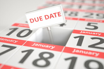 DUE DATE sign on January 11 in a calendar, 3d rendering