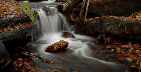 Wodospad kaskady Rodła © Iwona