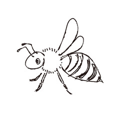 みつばちのイラスト　ドローイング　横から