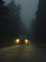foggy forest road. Car with fog lights