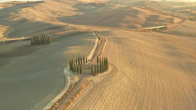 Aerial view of the beautiful hills of the Val d'Orcia in Tuscany with the cypress circle shape grove near Montalcino, Italy, hills cultivated with wheat, Ionic column by Helidon Xhixha, Reflexes