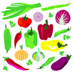 vector bright juicy set of fresh vegetables and herbs isolated on white background. useful for cafes and restaurants, menus, healthy food, vegetarian meals, farms, greenhouses, seedling shops, print.