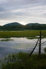 Wetlands and mountains