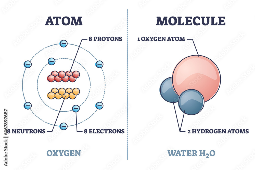 Aufkleber atom vs molecule structural differences with oxygen and water outline diagram. labeled educational m
