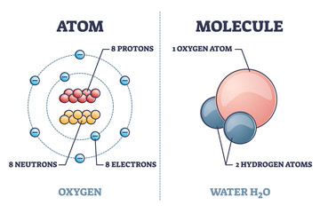 Atom vs molecule structural differences with oxygen and water outline diagram. Labeled educational microscopic chemical elements with protons, electrons and neutrons compounds vector illustration. - obrazy, fototapety, plakaty