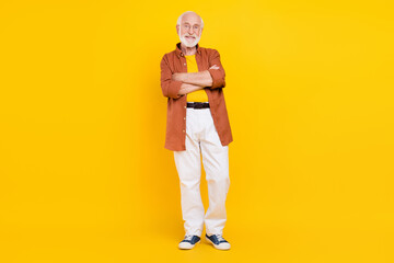 Photo of cheerful retired old man granddad crossed arms wear specs brown shirt pants shoes isolated yellow color background