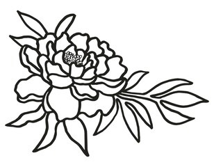 Black and white line drawing of peony flower for coloring page. Simple vector outline illustration of floral design element