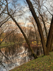 autumn in the park