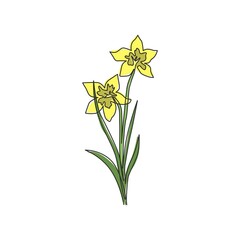 Single continuous line drawing of beauty fresh narcissus for home wall decor art poster print. Printable decorative daffodil flower for card ornament. Modern one line draw design vector illustration