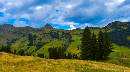 Damülser Berge im Bregenzerwaldgebirge in Vorarlberg