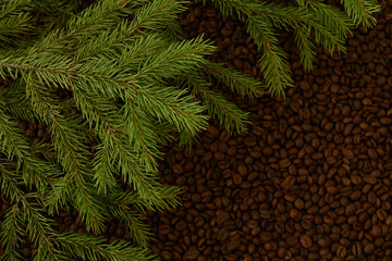 branches of a Christmas tree on the background of the texture of coffee beans. original  festive christmas or new year background for coffee lovers. Creative coffee card, flat lay. Hygge, scandinavian