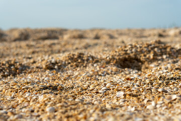 Seaside strewn with shell fragments. Blue sunny sky.
