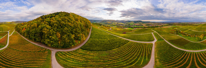 Weinberg im Herbst weinlese traubenlese ernte