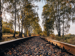 Railway tracks in the middle of the forest and field with trees in autumn