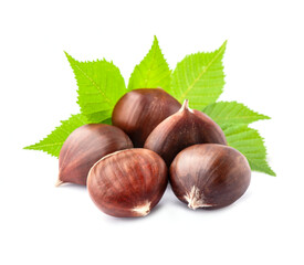 Chestnuts with leaves