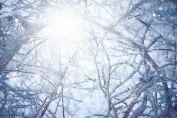 Naklejka premium winter background snowfall trees abstract blurred white