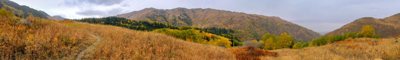 Beautiful golden autumn in mountains landscape. Autumn forest background. Colorful red, orange, green forest in mountains. Dzhungarian Alatau in Kazakhstan. Tourism, travel concept.
