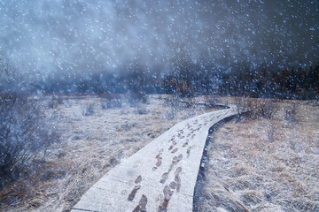 footprints in the snow winter trail park flooring wooden