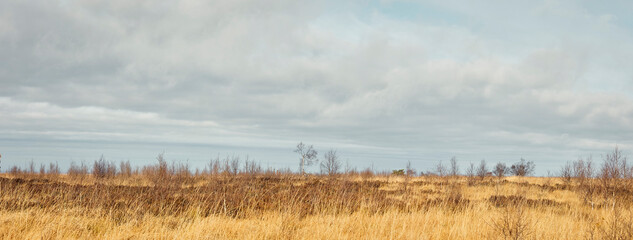 High Fens landscape in Fall. Forest in Autumn.