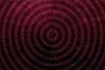 red and white spiral. Ornate glow stylish backdrop in dark pink and black colors for festive card. Cool creative jewellery design great for layout of invitation. Modern oriental style dynamic frame