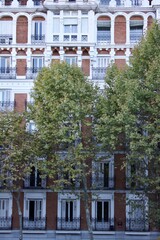 Naklejka premium Building facade with autumn colors