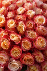 Bouquet of orange roses