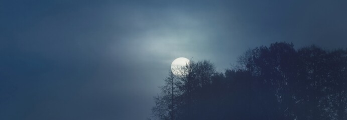 Full moon above the forest. Dark tree silhouettes. Mysterious fog and clouds. Creepy landscape....