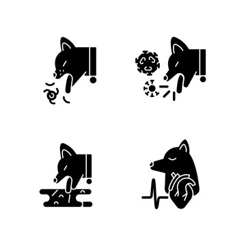 Pet stomach illness black glyph icons set on white space. Vomiting and kennel cough problems. Internal organs sickness. Domestic animals diseases. Silhouette symbols. Vector isolated illustration