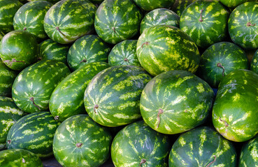 watermelon close-up on the market