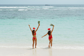 Back view two happy girls in Santa Clause hats  against blue sky and ocean, wearing red bikini and walk to the sea, hold in hands pineapples. Concept of christmas vacation on tropical island