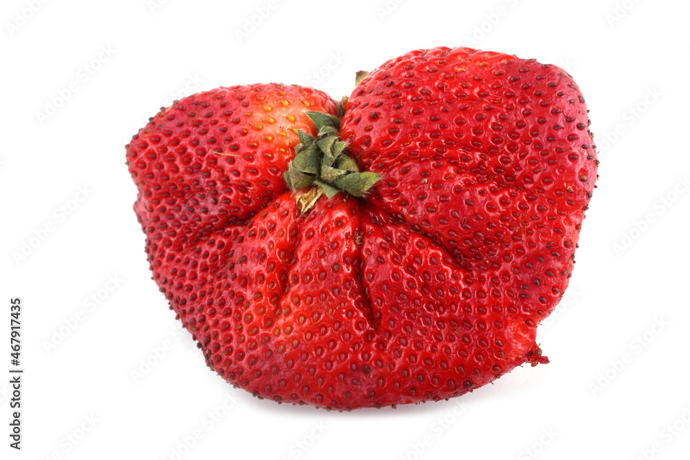 Sticker Unusual huge strawberry