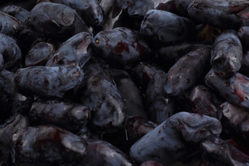 Honeysuckle berries background