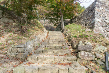 鳥取城