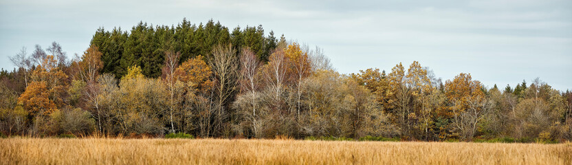 High Fens landscape in Fall. Forest in Autumn.