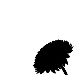 Silhouette flower chrysanthemum. Symbol of the holiday in the east
