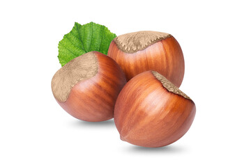 Hazelnuts with green leaves isolated on white background.