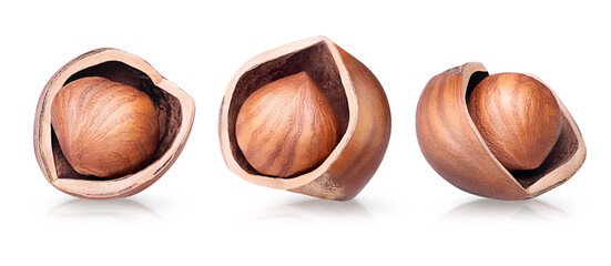 Hazelnut isolated on white background. Collection of three cracked filbert nuts